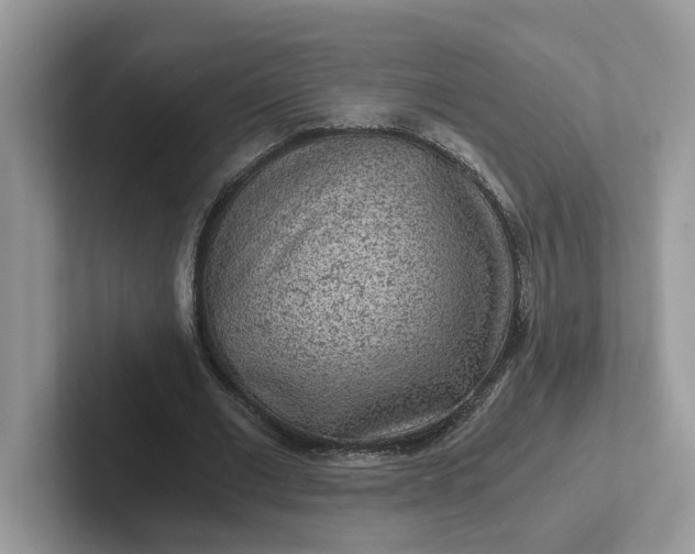 X0000101440677200807211213