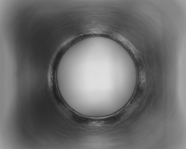 X0000101440680200807211212