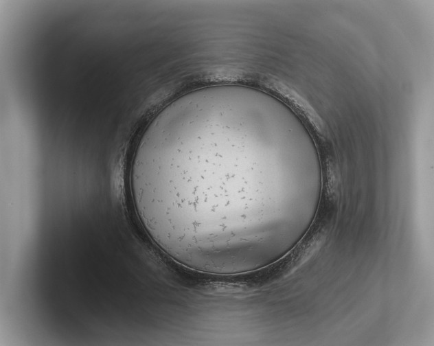 X0000101440681200807211212