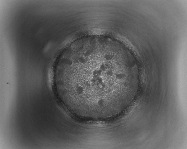 X0000101440683200807211212