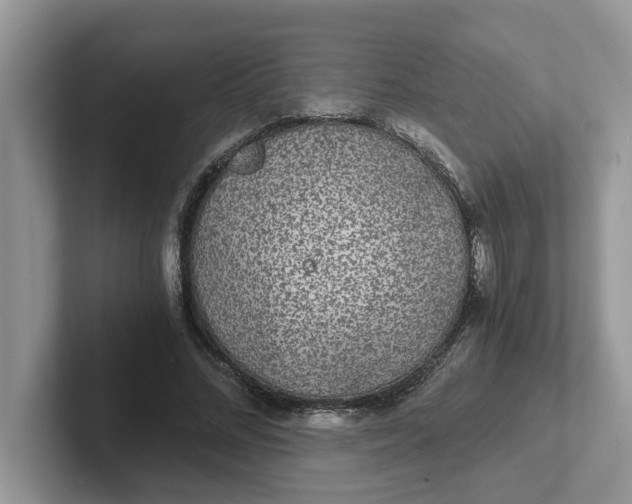 X0000101440684200807211212