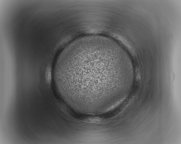 X0000101440685200807211212