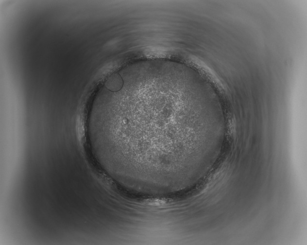 X0000101440687200807211212