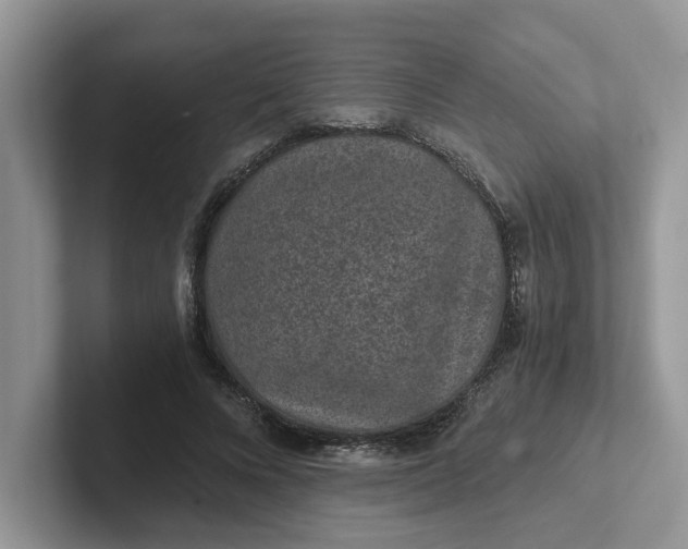 X0000101440688200807211212