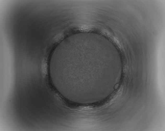 X0000101440689200807211212