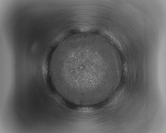 X0000101440691200807211212