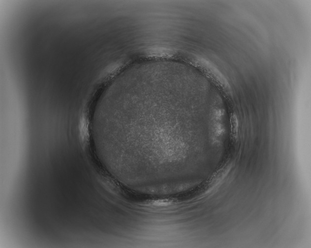 X0000101440692200807211212