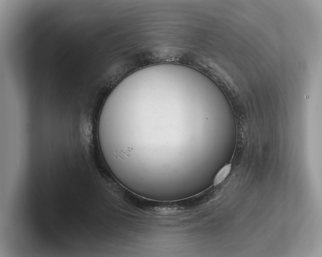 X0000101440693200807211212