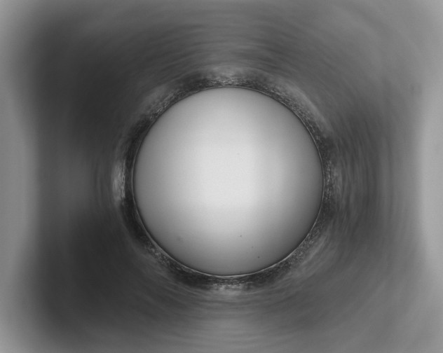 X0000101440694200807211212