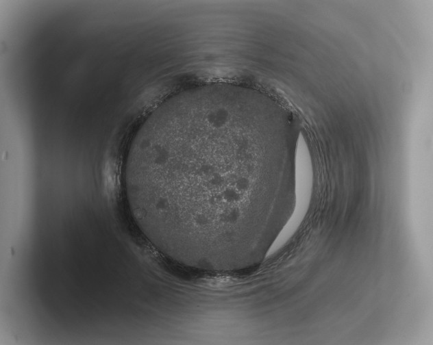 X0000101440695200807211212