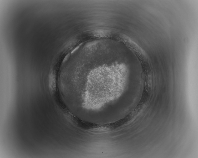 X0000101440696200807211212