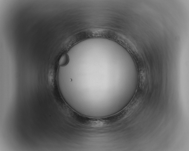 X0000101440698200807211212