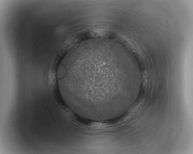 X0000101440699200807211212