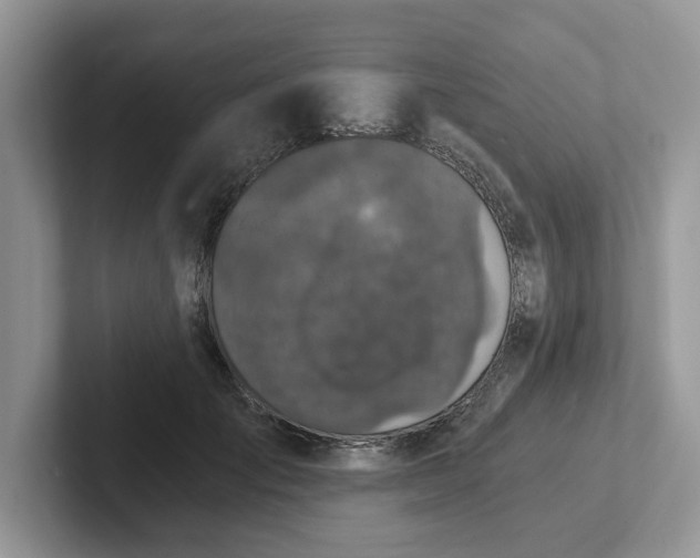 X0000101440701200807211212