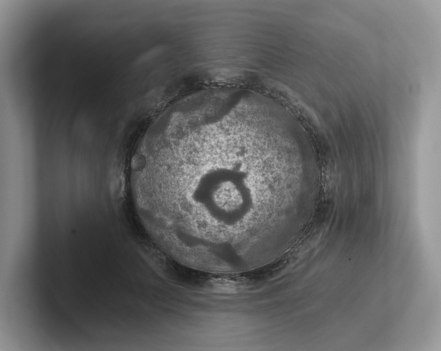 X0000101440703200807211212