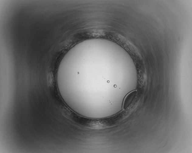 X0000101440704200807211212