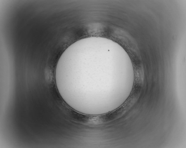 X0000101440705200807211212