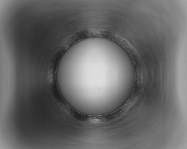 X0000101440706200807211212