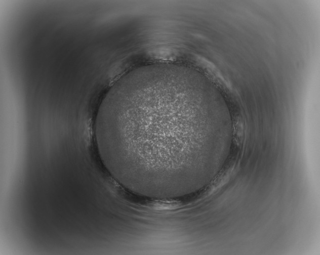 X0000101440707200807211212