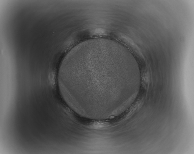 X0000101440708200807211212