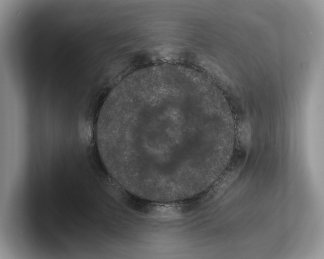 X0000101440709200807211212