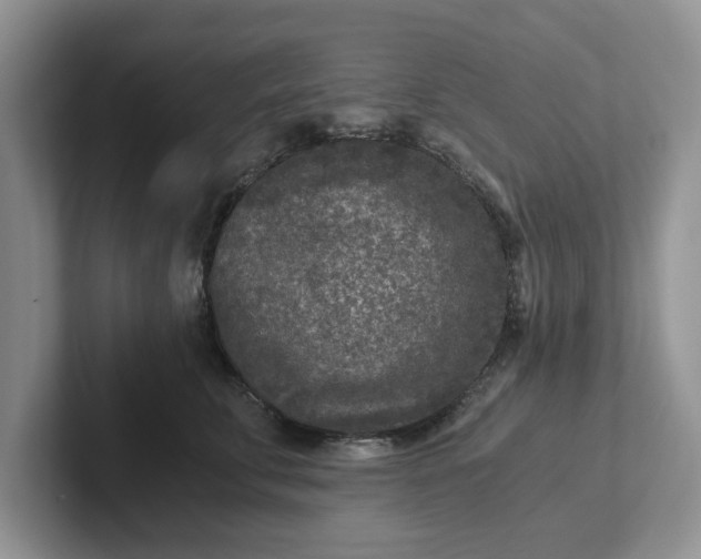 X0000101440711200807211212