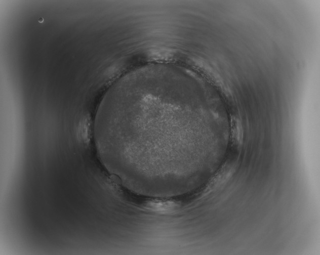 X0000101440712200807211212