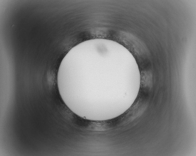 X0000101440713200807211212