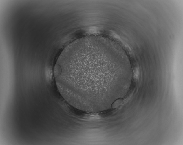 X0000101440715200807211212