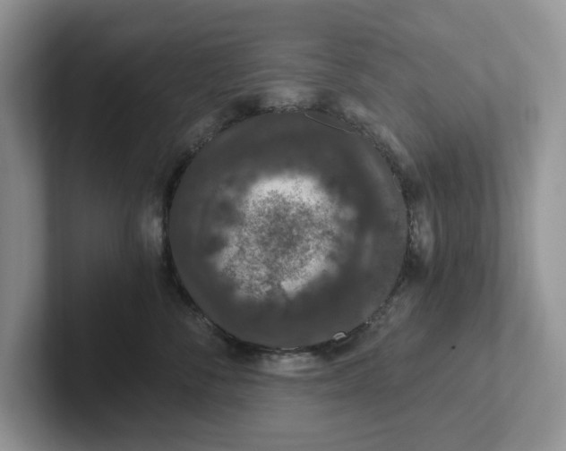 X0000101440716200807211212