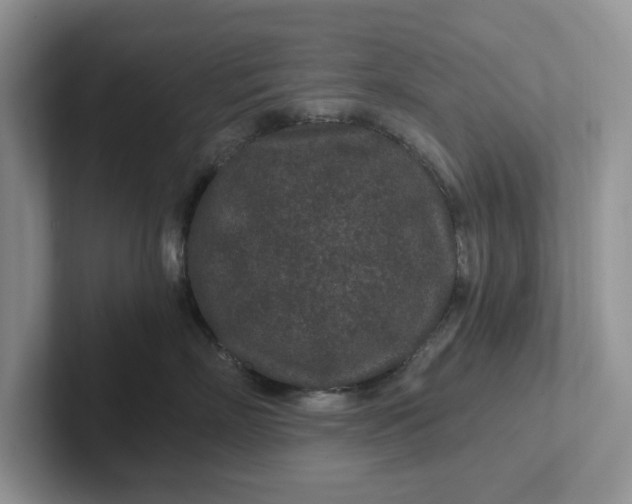 X0000101440718200807211212