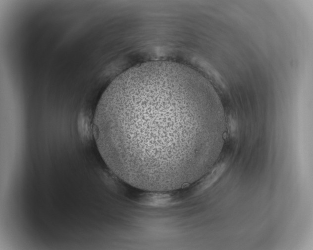 X0000101440719200807211212