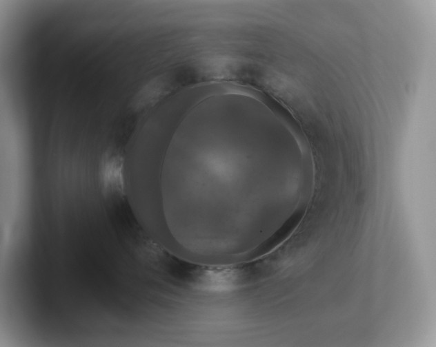 X0000101440720200807211212