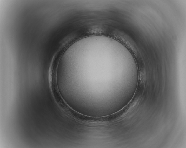 X0000101440722200807211211