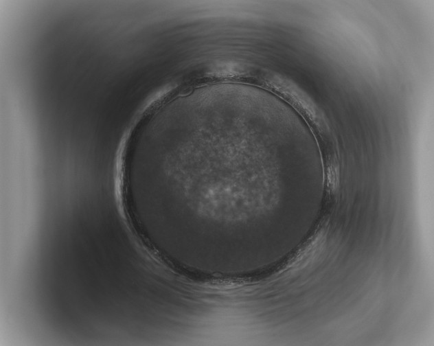 X0000101440724200807211211