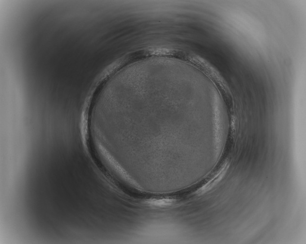 X0000101440725200807211211