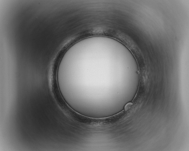 X0000101440728200807211211