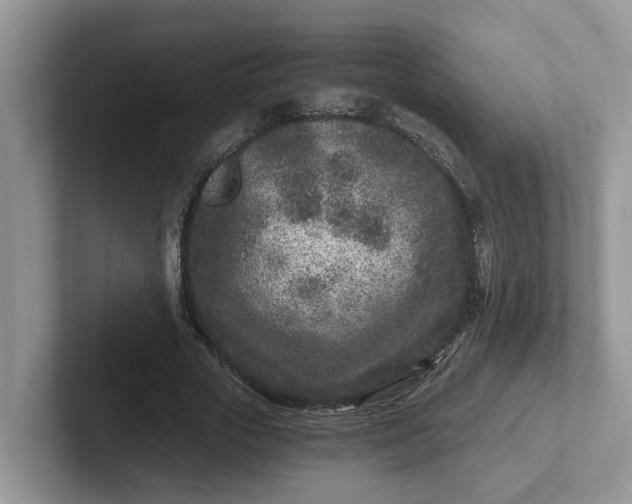 X0000101440729200807211211