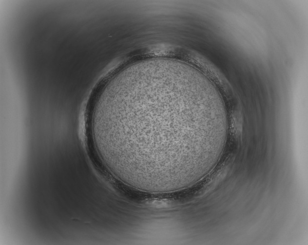 X0000101440730200807211211