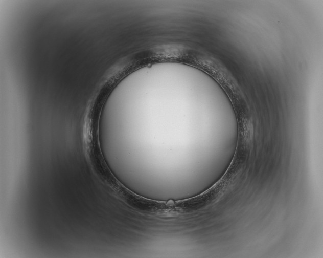 X0000101440731200807211211