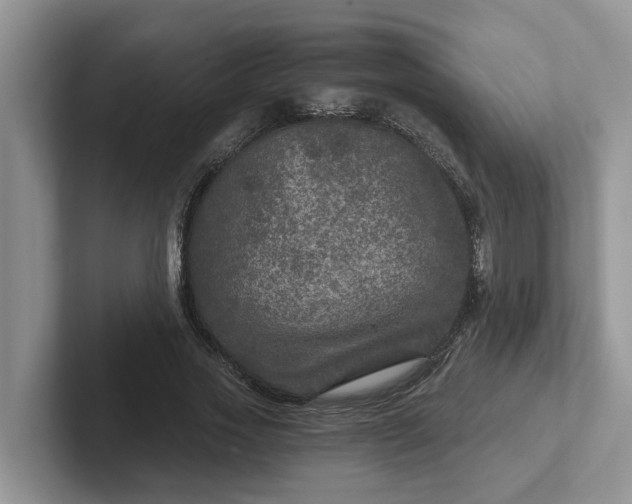 X0000101440733200807211211