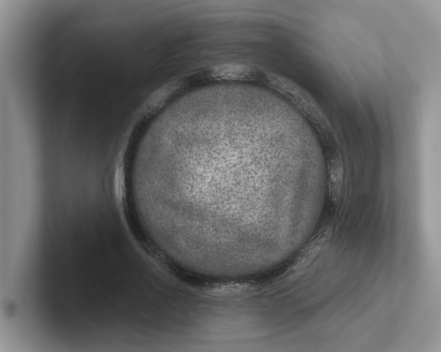 X0000101440734200807211211