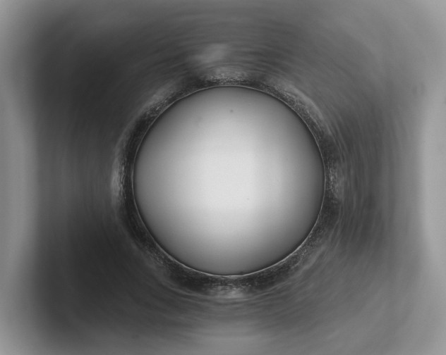 X0000101440735200807211211