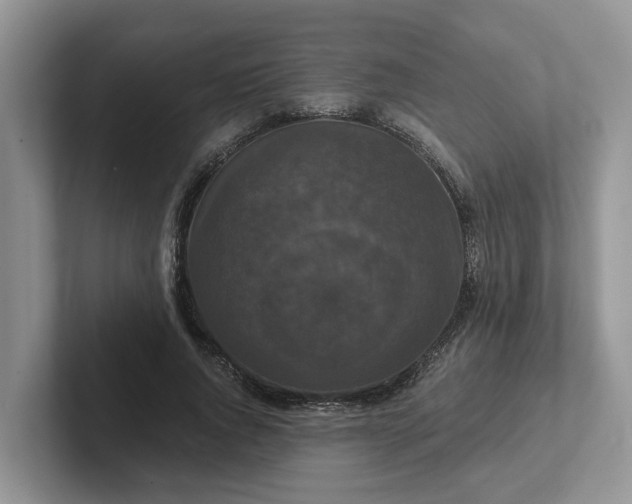 X0000101440736200807211211