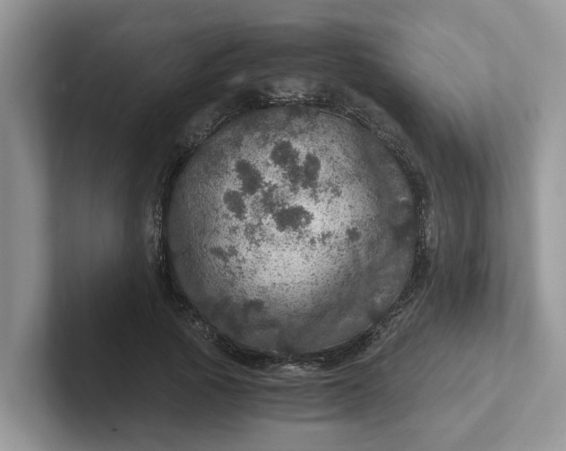 X0000101440737200807211211