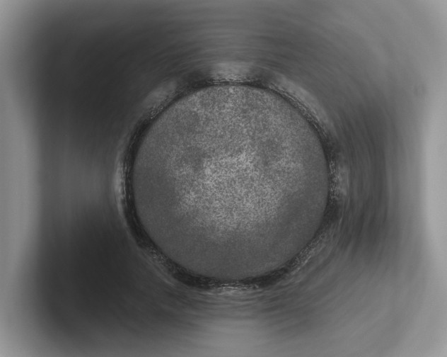 X0000101440738200807211211