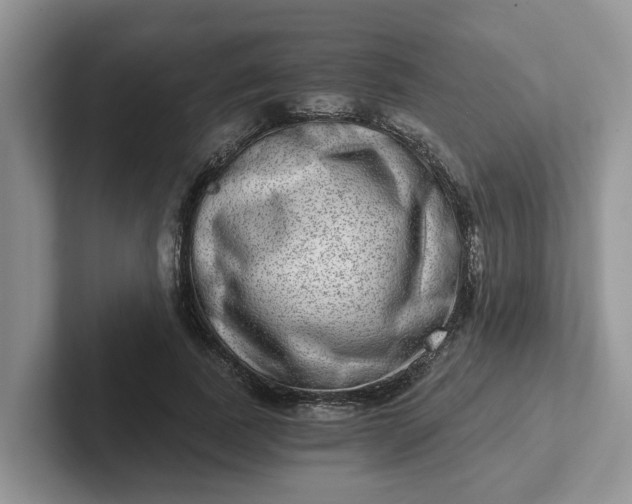 X0000101440739200807211211