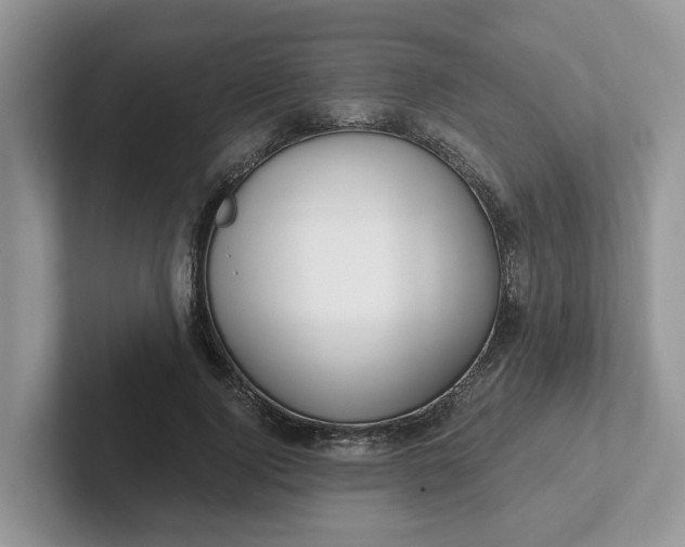 X0000101440740200807211211