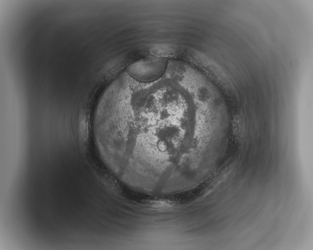 X0000101440741200807211211