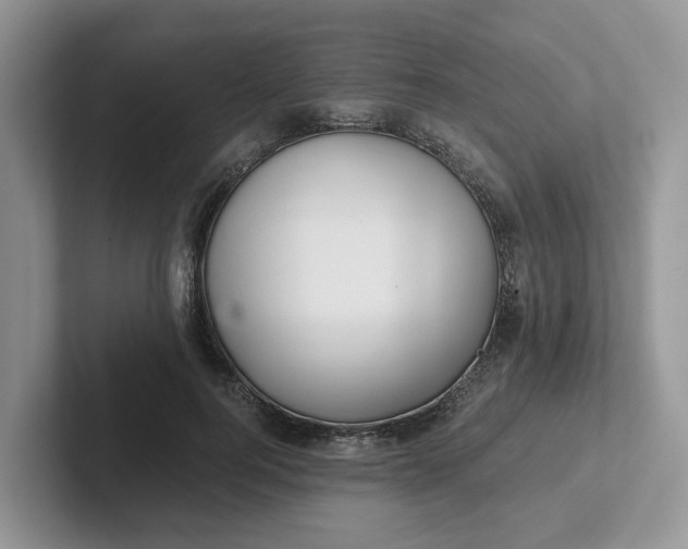 X0000101440744200807211212